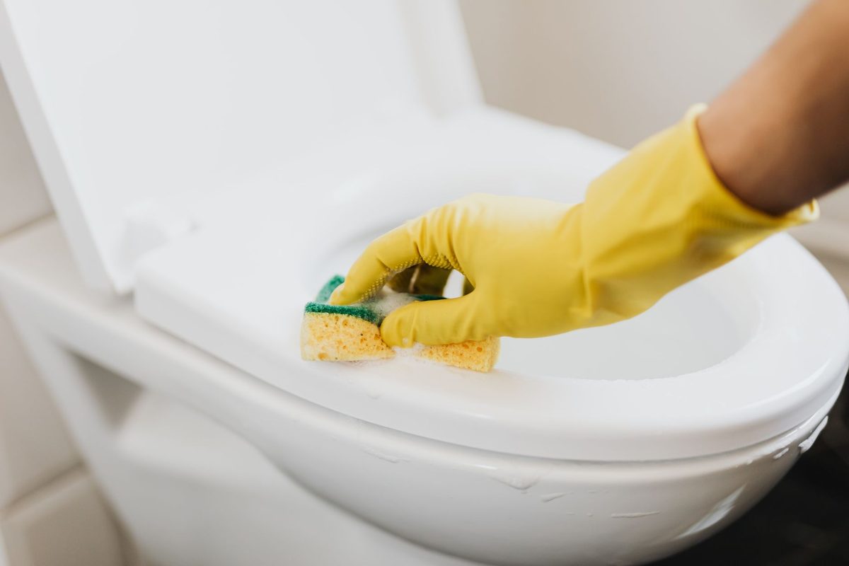 A clean bathroom with toilet and tiles, relevant to how to clean a toilet